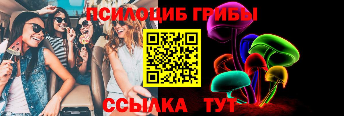 Псилоцибиновые грибы мицелий  Псилоцибиновые грибы GOLDEN TEACHER  Клин  Вход с VPN 